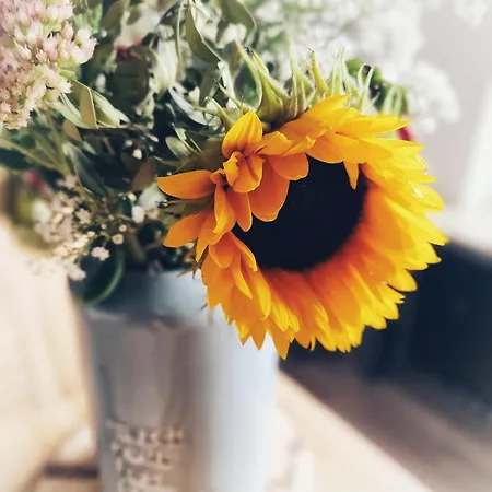 Kleines Sommer Mit Terasse Und Grill شقة